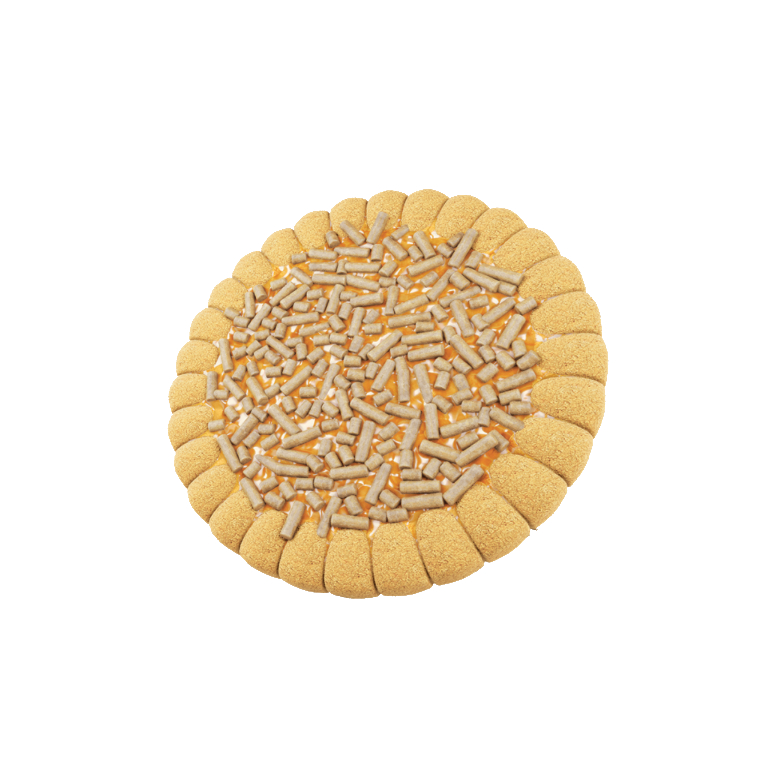 Sweet biscuits "Kloun" with orange flavour 29 gr